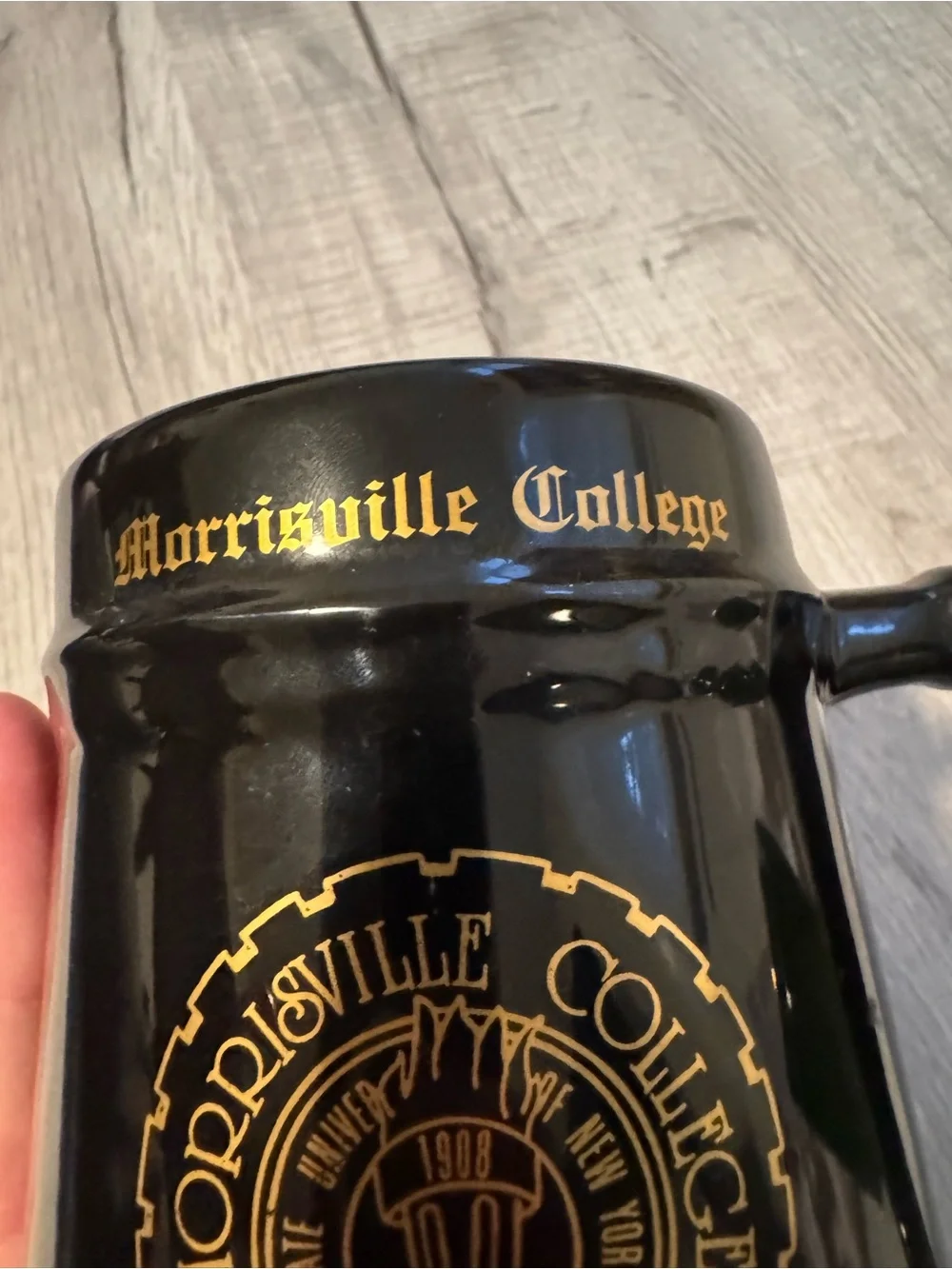 Vtg 90’s SUNY Morrisville Ceramic Large Beer Stein Set College Mugs USA RARE!